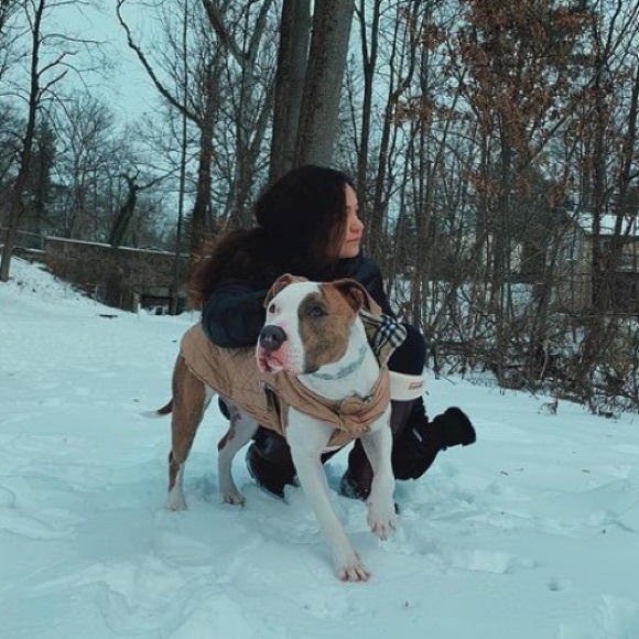 Meet your Posher, Mia - Picture 2 of 2